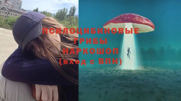 ешки Вязники